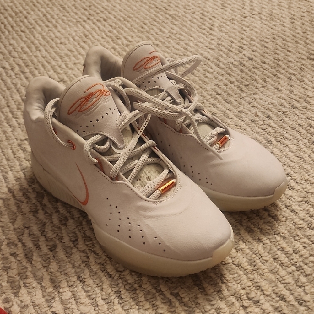 Nike LeBrons 21 Akoya Sneakers Size 10